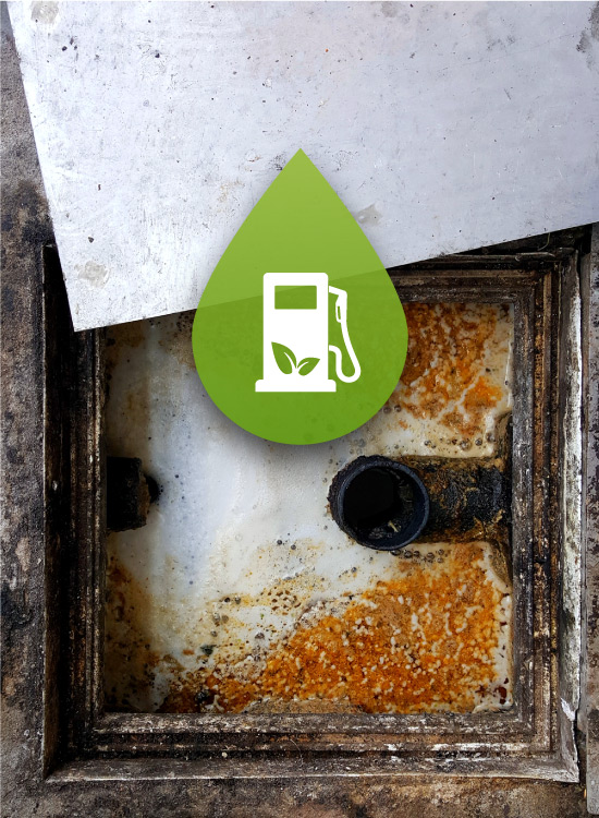 EcoClarity Kitchen Waste Disposal