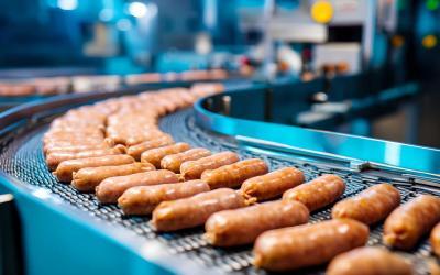 FOG waste to biodiesel: sustainability opportunities for food factories