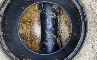 Do you know where your grease trap waste ends up?